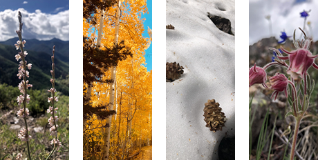 Ouray Colorado in the four seasons